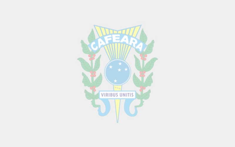 Programação Ensinado nas Escolas